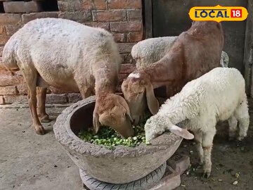 হরিহরপাড়ায়