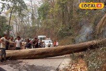 আনন্দ-ফূর্তি সব হয়ে গেল ফিকে, চার মহিলা সহ ট্যুরিস্ট গাড়িতে ভেঙে পড়ল বিশাল গাছ