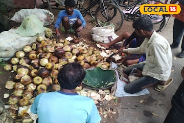 গরমের সুপারফুড! এই ফল বরফের গোলা! শরীর ঠান্ডা রাখতে একাই একশো! ভিটামিন সি-র খনি এই ফল গরমের সুপারফুড! এই ফল বরফের গোলা! শরীর ঠান্ডা রাখতে একাই একশো! ভিটামিন সি-র খনি এই ফল