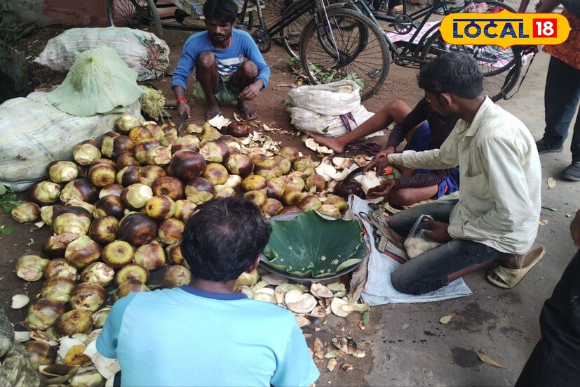 গ্রীষ্মকালকে ফলের ঋতু বলাই যায়। এই সময়ে আমাদের দেশে বিভিন্ন ধরনের ফল পাওয়া যায়। কিন্তু এটি কোন ফল? দেখতে জেলীর মত। গ্রীষ্মকালকে ফলের ঋতু বলাই যায়। এই সময়ে আমাদের দেশে বিভিন্ন ধরনের ফল পাওয়া যায়। কিন্তু এটি কোন ফল? দেখতে জেলীর মত।