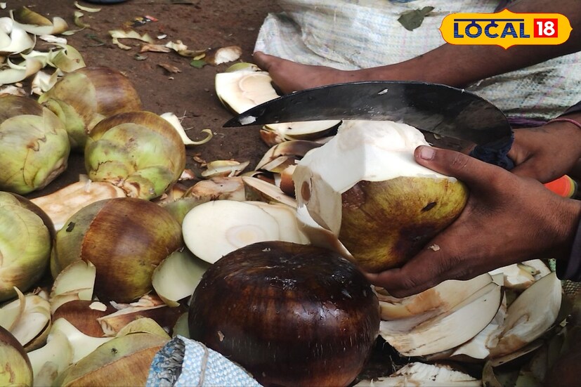 প্রতিদিনই প্রায় পাঁচ থেকে ছয় বস্তা করে তাল নিয়ে আসা হয় শহরে। গরমের কারণে তালের প্রোডাকশন কম হলেও, গত বছরের মত এই বছরও আশা করা যাচ্ছে যে ৫ টাকা প্রতি পিস বিক্রি হবে এই ফল। জৈষ্ঠ মাসের শেষ পর্যন্ত পাওয়া যাবে এই ফল।