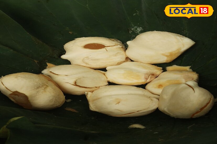 দেশীয় এই ফলের মধ্যে গ্রীষ্মকালীন তালশাঁস অন্যতম যা বছরে খুব অল্প সময়ের জন্য পাওয়া যায়। কাঁচা তালের ভিতরে থাকা সুস্বাদু নরম জলীয় অংশ তালশাঁস নামে পরিচিত যার আঞ্চলিক নাম তাল বীজ।