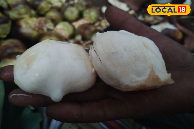 এটি দেখতে অনেকটা জেলির মত হয়ে থাকে। বাঁকুড়ার তালের গুড়, তালের রস বিখ্যাত। তবে এবছর গরমে আইসক্রিম এবং ঠান্ডা পানীয় বাদ দিয়ে তালশাঁস বেছে নেন মানুষ।