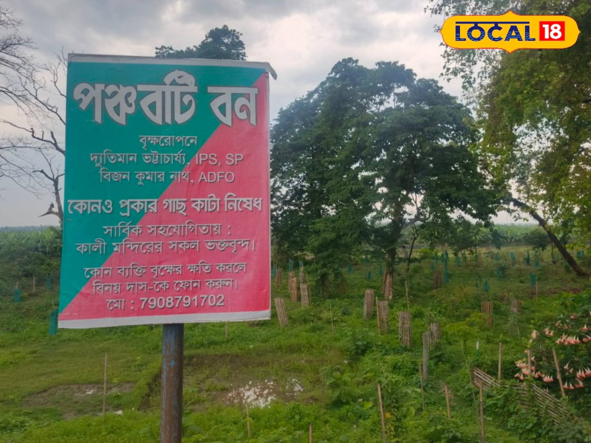 এই ব্যক্তি যা তৈরি করছেন জেলায়! ওষধি গাছে ভরে গেল এলাকা...! হাত বাড়ালেই পঞ্চবটি বন