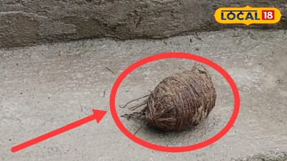 উদ্ধার হওয়া তাজা বোমা