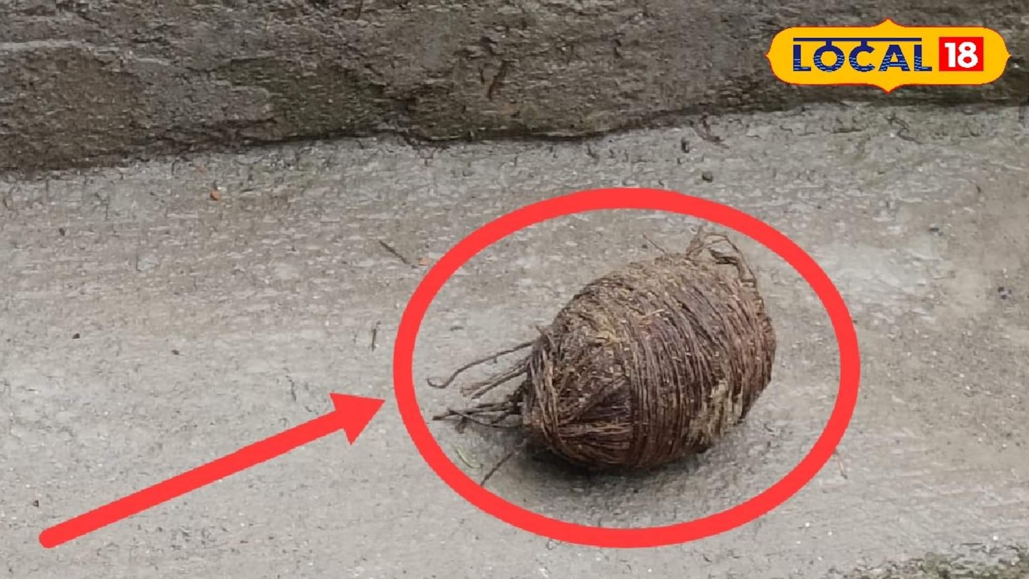 দিনের আলোয় যা উদ্ধার হল বাড়ির উঠোন থেকে! হুলুস্থুল কাণ্ড নয়ারহাট এলাকায়