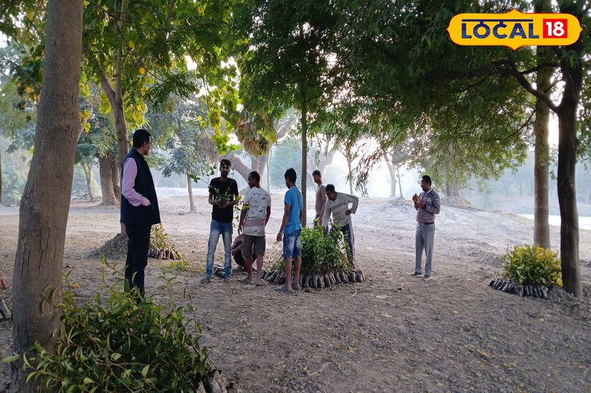 প্রাচীন ও বৃহৎ বটগাছের পাশেই বিভিন্ন প্রজাতির চায়ের গাছ লাগিয়ে চা বাগিচা তৈরির কাজ শুরু হয়েছে। দু-এক বছরের মধ্যে বোটানিক্যাল গার্ডেনের অন্যতম আকর্ষণ হতে চলেছে এই চা বাগিচা।