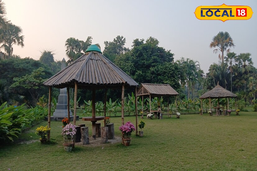 এছাড়াও সমস্ত বয়সের মানুষের আকর্ষণ বাড়াতে নানা উদ্যোগ। গোলাপবাগান অ্যাকোয়াটিক প্ল্যান্ট, ক্যাফেটেরিয়া, বোটিং ও ব্যাটারি চালিত গাড়ি। যার মাধ্যমে প্রায় সারা বছর বোটানিক্যাল গার্ডেনে আসার প্রবণতা দেখাচ্ছে সাধারন মানুষ।