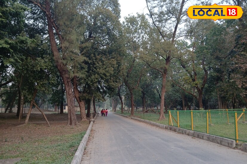 বোটানিক্যাল গার্ডেনের বিশাল আকৃতির বটগাছ প্রধান আকর্ষণ হলেও নিরিবিলি শান্ত পরিবেশের এই উদ্যানে রয়েছে অসংখ্য প্রজাতির দেশি-বিদেশী গাছ। যা প্রকৃতিপ্রেমী মানুষের কাছে এই উদ্যান হল সর্বশ্রেষ্ঠ স্থান।