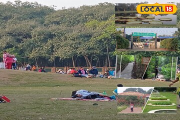 চা বাগান দেখতে আর যেতে হবে না পাহাড়! কলকাতার পাশেই বিখ্যাত এই জায়গায় গড়ে উঠছে চা বাগিচা