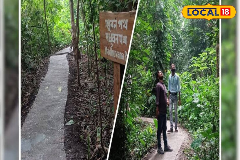 এছাড়াও অ্যাডভেঞ্চার প্রিয় মানুষের জন্য নিরিবিলি ঘন জঙ্গলের মধ্যে প্রায় দুই কিলোমিটার প্রকৃতির পথ। গত প্রায় দুই বছর আগে শুরু হওয়া এই সুবিধা দারুণভাবে উপভোগ করছে মানুষ।