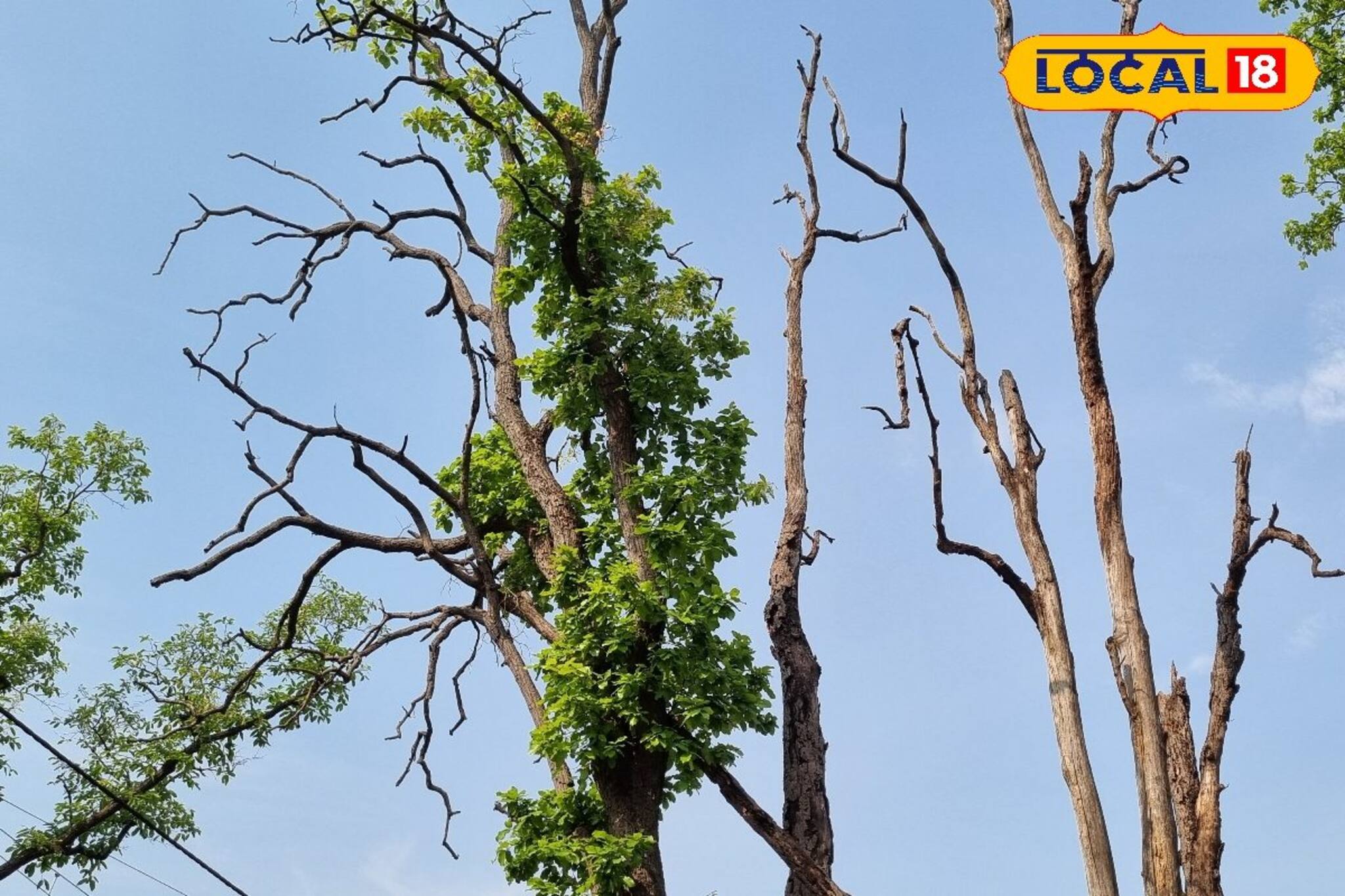 যে কোনও মুহুর্তে ঘটতে পারে বিপদ! শহরে প্রবেশের রাস্তা যেন মরণ ফাঁদ