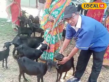 প্রাণী প্রাণী