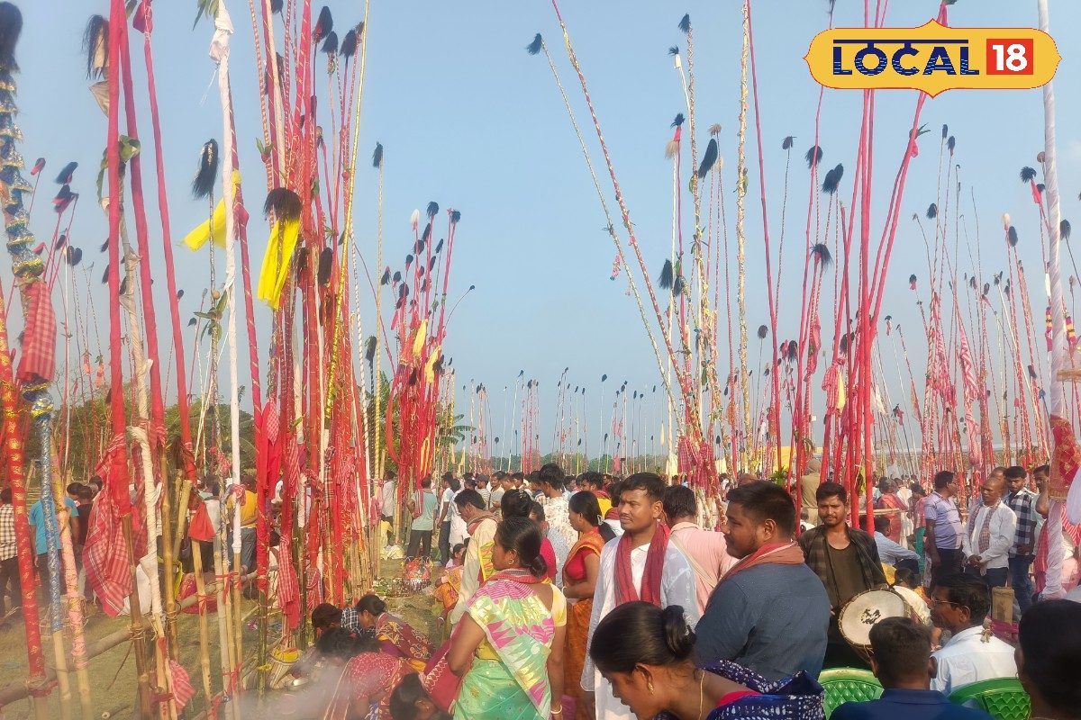 চলে ঐতিহ্যবাহী বাঁশখেলা, চৈত্রের শেষবেলায় আজও প্রাচীন এই পুজোর আসর ঘিরে অগণিত ভক্ত সমাগমnorth bengal rajbangshi people celebrate ancient folk puja of madankam with bamboo playing