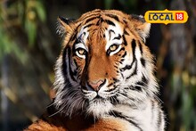 সোহানের শূন্যস্থান পূরণে ঝড়খালি পৌঁছল নতুন অতিথি, কোথা থেকে আনা হল তাকে? জানুন