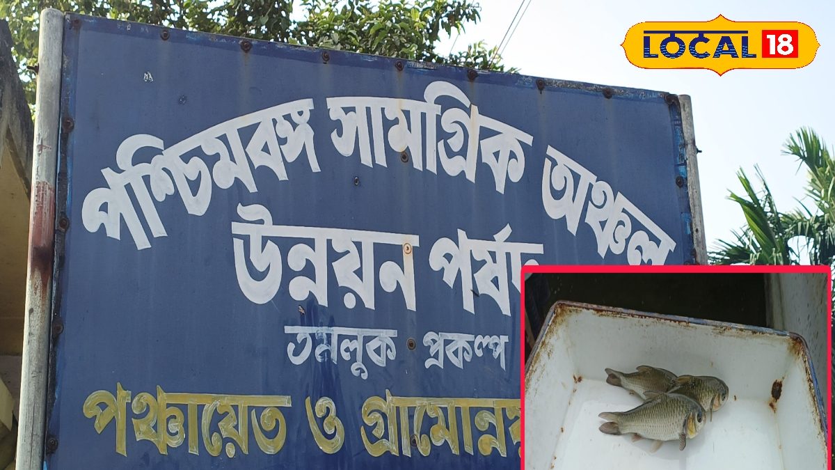 দিন দিন বিলুপ্ত হয়ে যাচ্ছে প্রোটিন সমৃদ্ধ পুষ্টিকর এই দেশি মাছ! ফিরিয়ে আনতে বিরাট উদ্যোগ Government initiative to bring back various lost fish West Bengal news local fishes are getting disappeared from water bodies state govt takes initiative