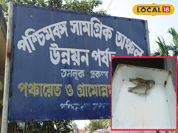 West Bengal News: দিন দিন বিলুপ্ত হয়ে যাচ্ছে প্রোটিন সমৃদ্ধ পুষ্টিকর এই দেশি মাছ! ফিরিয়ে আনতে বিরাট উদ্যোগ