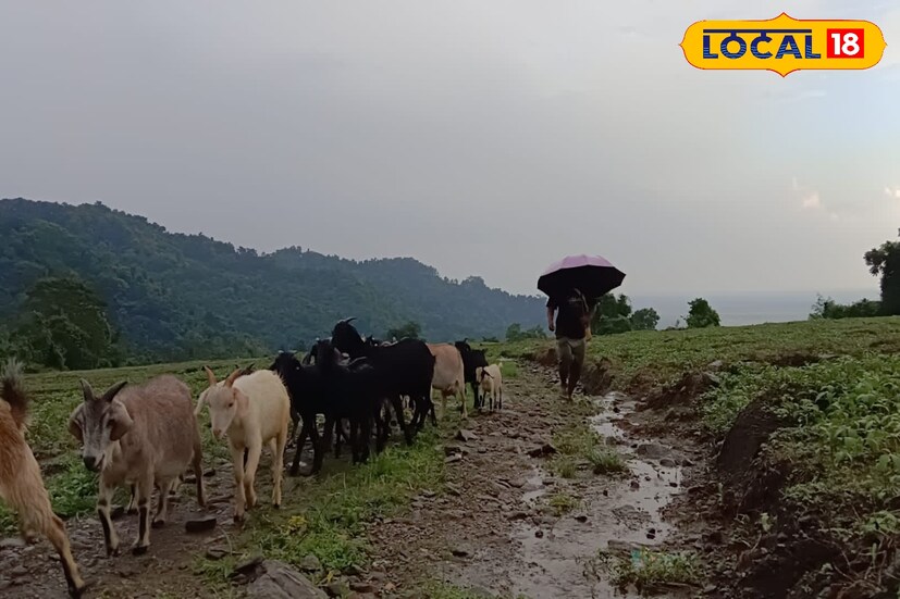 রাত থেকেই বজ্রবিদ্যুৎ সহ বৃষ্টিপাত।  ঘন কালো মেঘে ঢাকা পাহাড় থেকে সমতল । টানা বৃষ্টিতে পারদ অনেকটাই নেমেছে। চলতি সপ্তাহ ধরে বৃষ্টিপাতের আশঙ্কা,ধেয়ে আসতে পারে ঝড় বৃষ্টি। রাত থেকেই বজ্রবিদ্যুৎ সহ বৃষ্টিপাত।  ঘন কালো মেঘে ঢাকা পাহাড় থেকে সমতল । টানা বৃষ্টিতে পারদ অনেকটাই নেমেছে। চলতি সপ্তাহ ধরে বৃষ্টিপাতের আশঙ্কা,ধেয়ে আসতে পারে ঝড় বৃষ্টি।