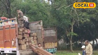 নামানো হচ্ছে কাঠ নামানো হচ্ছে কাঠ