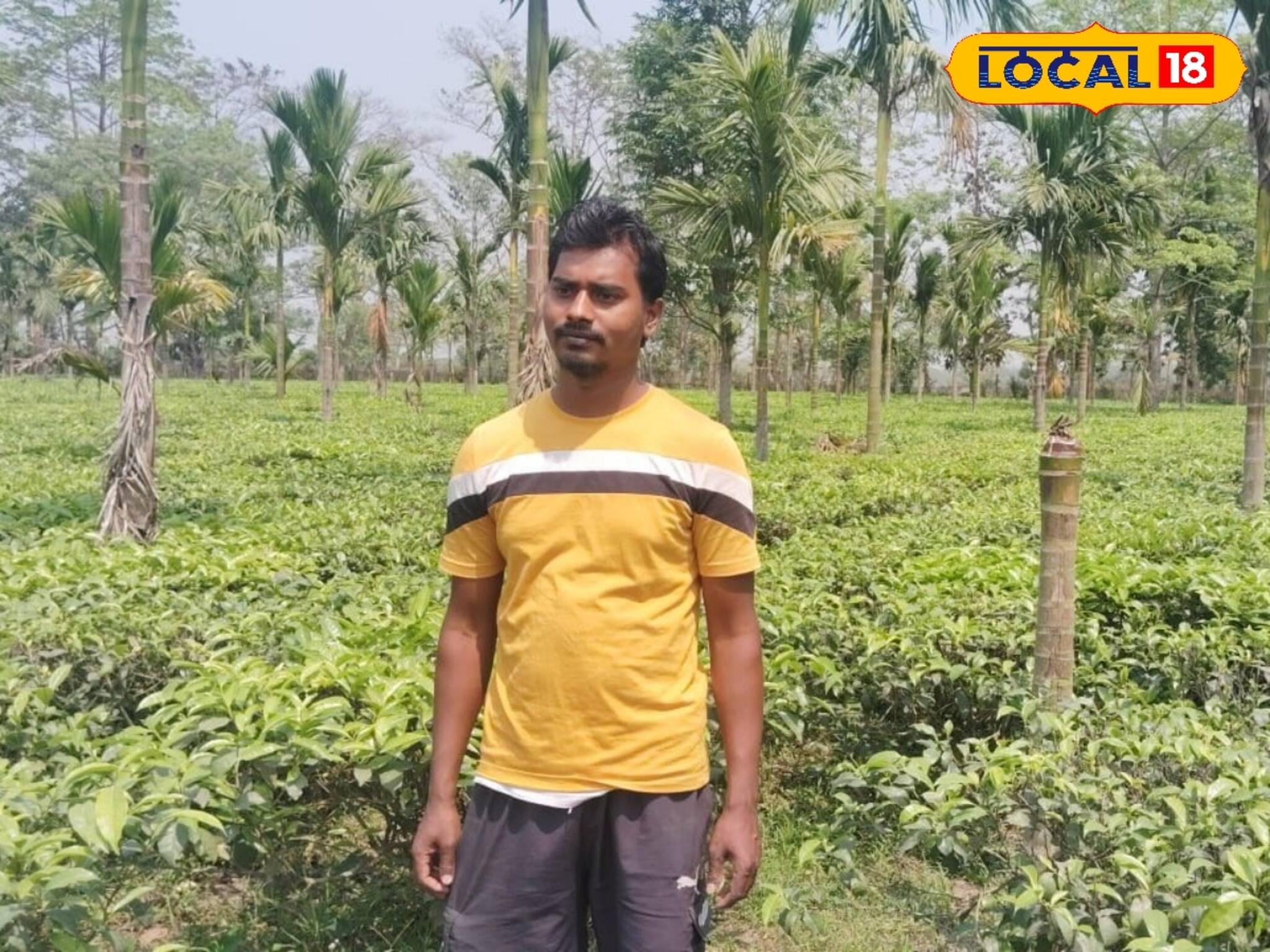 সবজি নয়, চা চাষ করে লাভের মুখ দেখছেন এই কৃষক