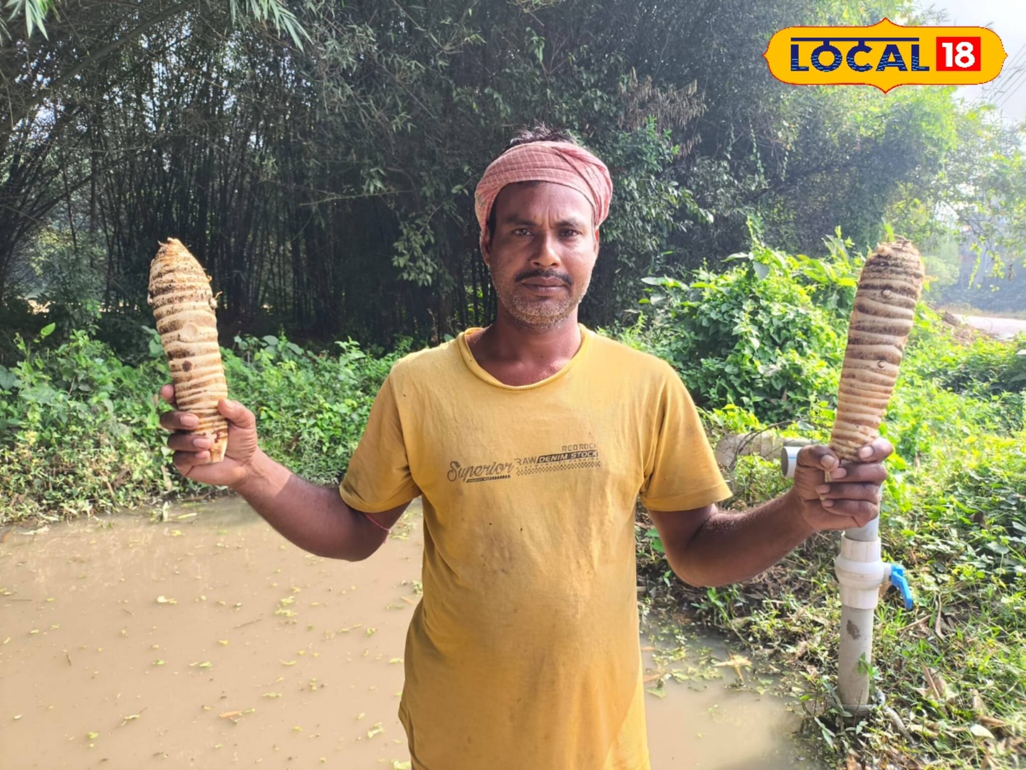 শুধু আলু নয়, ট্রেন, বাসের জনপ্রিয় চিপস তৈরি হয় বাঁকুড়ার এই সবজি দিয়েও! জানলে অবাক হবেন