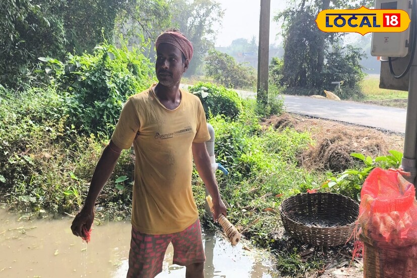 বাঁকুড়ার আনাচে কানাচে দেখা যায় নতুন নতুন শক সবজি। মাটি যতই রুক্ষ শুষ্ক হোক না কেন, চাষিরা মাথার ঘাম পায়ে ফেলে চাষ করে যান সারা বছর। সেই কারণেই ট্রেনের যাত্রীদের মন যে চিপসে মজে যায়, সেই চিপস তৈরির সবজি যোগান দেয় বাঁকুড়া জেলা। জানেন না অনেকেই।