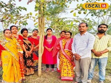 লাগানো হয়েছে লাল চন্দনের চারা