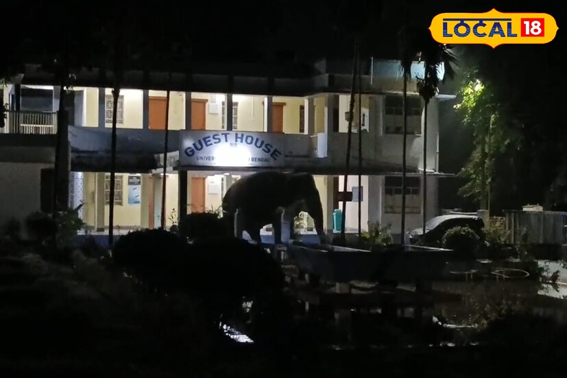 খবর ছড়িয়ে পড়তেই সকাল থেকে সাধারণ মানুষের ভিড়। বনদফতরের পাশাপাশিভিড় সামলাতে এই ঘটনাস্থলে মাটিগাড়া থানার পুলিশ। ছাত্র-ছাত্রীদের নিরাপত্তায় চিন্তায় বিশ্ববিদ্যালয় কর্তৃপক্ষ।
