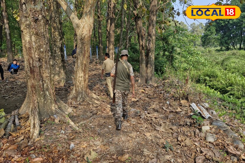 গতকাল রাতে ধিমাল তারাবারি হয়ে উত্তরবঙ্গ বিশ্ববিদ্যালয়ে হাতিটি ঢুকে পড়ে। গতকাল রাত থেকেই বিশ্ববিদ্যালয় চত্বরকে বনদফতরেরএর নিরাপত্তায় ঘিরে ফেলা হয়েছে। 