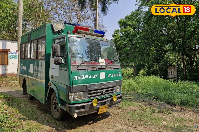 বর্তমানে হাতেটি বিশ্ববিদ্যালয়ের জঙ্গলে রয়েছে। ইতিমধ্যেই বিশ্ববিদ্যালয় চত্বরে সমস্ত দোকান বন্ধ করে দেয়া হয়েছে। নিরাপত্তার চাদরে মুড়ে ফেলা হয়েছে বিশ্ববিদ্যালয় চত্বর। চারিদিকে রয়েছে ছাত্র-ছাত্রীদের আবাসন সেদিকেও চলছে বন দফতরের টহলদারি।
