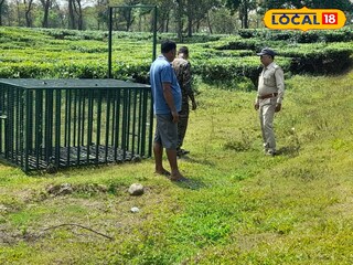 লেপার্ডের আক্রমণ লেপার্ডের আক্রমণ