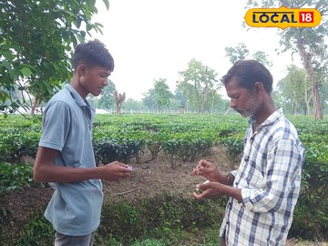 বাজি
