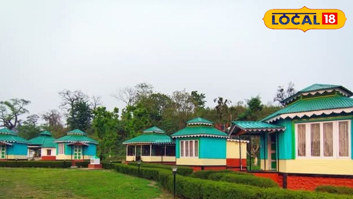 ডুয়ার্সে এবার খুলল অনবদ্য 'এই' রিসর্ট! শুরু হল অনলাইন বুকিং,রইল জঙ্গল ক্যাম্পের খুঁটিনাটি