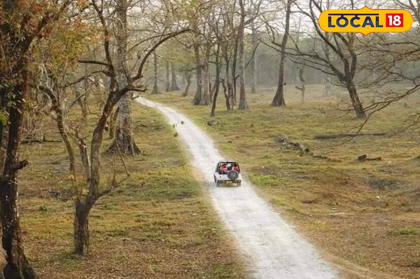 *আর এতেই হাসি ফুটেছে পানঝোরা বনবস্তির প্রায় ৭০টি জনজাতি গোষ্ঠীর পরিবারের মুখে। পর্যটকদের কাছে বরাবরের আকর্ষণীয় জলপাইগুড়ি জেলার মেটেলি থানার অন্তর্গত জাতীয় সড়কের পাশের এই ক্যাম্প। এ প্রসঙ্গে পানঝোরা বন বস্তিবাসীদের নিয়ে গঠিত জয়েন্ট ফরেস্ট ম্যানেজমেন্ট কমিটির সম্পাদক অমৃত ছেত্রী বলেন, গত চার বছর অনেক কষ্টে দিন গুজরান করেছে এই অঞ্চলের মানুষ, আজ থেকে নতুন করে বুকিং শুরু হচ্ছে এই জঙ্গল ক্যাম্পের, আসবে দেশি বিদেশি পর্যটকরা এবং এখানে এই মুহূর্তে তৈরি চারটি কটেজে তিন সদস্যের পরিবার থাকতে পারবেন। আগত পর্যটকদের খাবার সবই এই বন বস্তিবাসীদের নিয়ে গঠিত কমিটি থেকে সরবরাহ করা হবে।