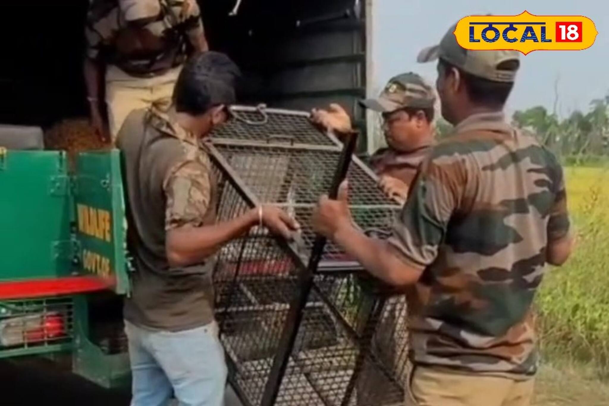 যখন তখন দিচ্ছে হানা, এ কোন প্রাণী? অজানা জন্তুর আতঙ্কে ঘুম উড়েছে গ্রামবাসীর!