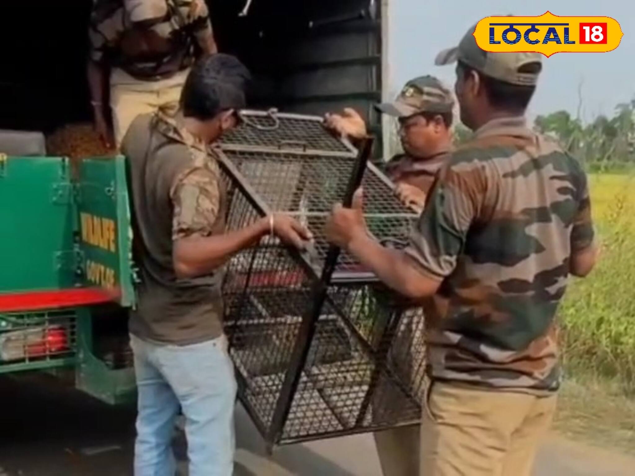 যখন তখন দিচ্ছে হানা, এ কোন প্রাণী? অজানা জন্তুর আতঙ্কে ঘুম উড়েছে গ্রামবাসীর!