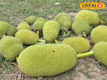 ভিয়েতনামি