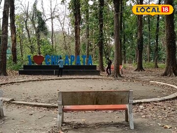 চিলাপাতা চিলাপাতা