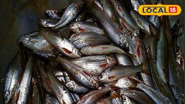 বিলুপ্তির