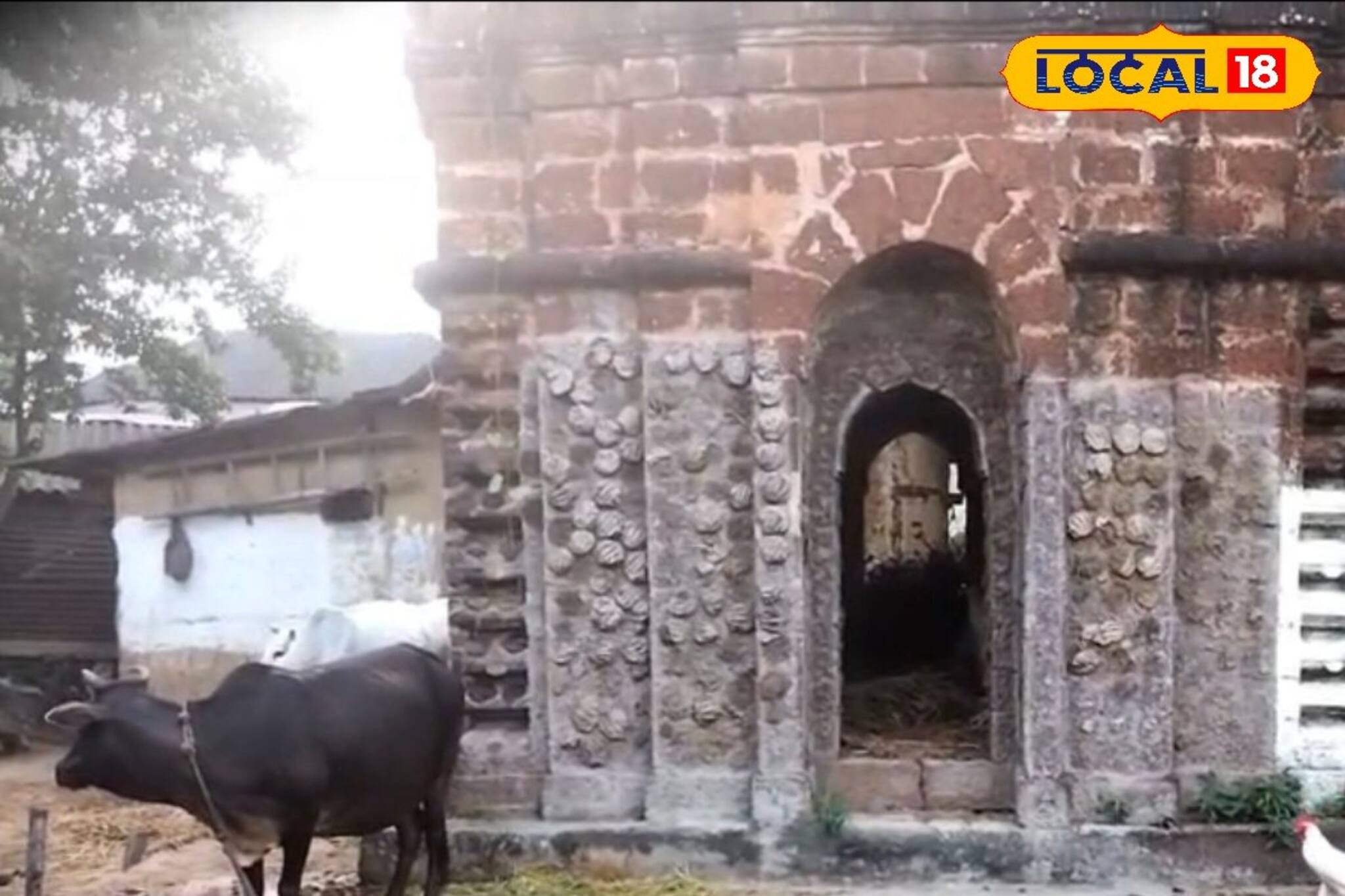 প্রাচীন টেরাকোটা কারুকার্যের উপর ঘুঁটে! বাঁকুড়ায় অবহেলার আড়ালে মল্লরাজাদের ইতিহাস