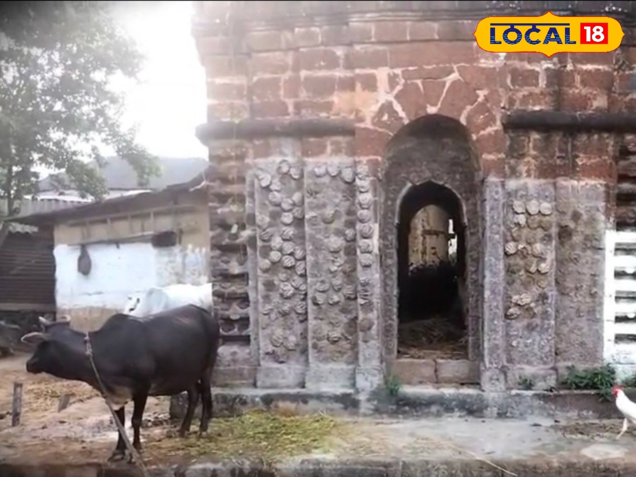 প্রাচীন টেরাকোটা কারুকার্যের উপর ঘুঁটে! বাঁকুড়ায় অবহেলার আড়ালে মল্লরাজাদের ইতিহাস