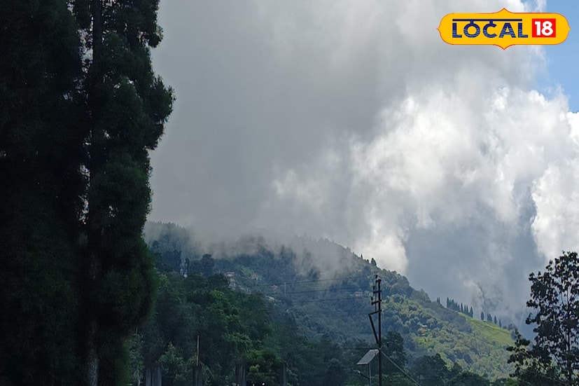 হাওয়া অফিসের পূর্বাভাস অনুযায়ী আগামী কয়েকদিন উত্তরের উঁচু পার্বত্য এলাকার পাশাপাশি সমতলেও  ঝমঝমিয়ে বৃষ্টি চলবে ।টানা বৃষ্টির পর ফের অতিষ্ঠ গরমে ভুগবে গোটা উত্তরবঙ্গবাসী।