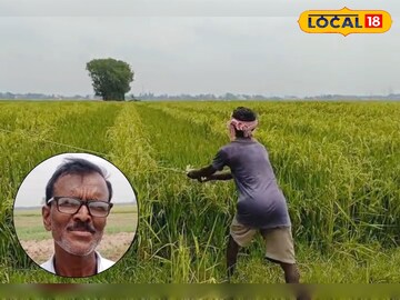 Purba Bardhaman News: ধান চাষে দড়ির ব্যবহার! বিশেষ পদ্ধতিতে চাষ হচ্ছে ‘পুরুষ-স্ত্রী’ হাইব্রিড ধান Purba Bardhaman News: ধান চাষে দড়ির ব্যবহার! বিশেষ পদ্ধতিতে চাষ হচ্ছে ‘পুরুষ-স্ত্রী’ হাইব্রিড ধান