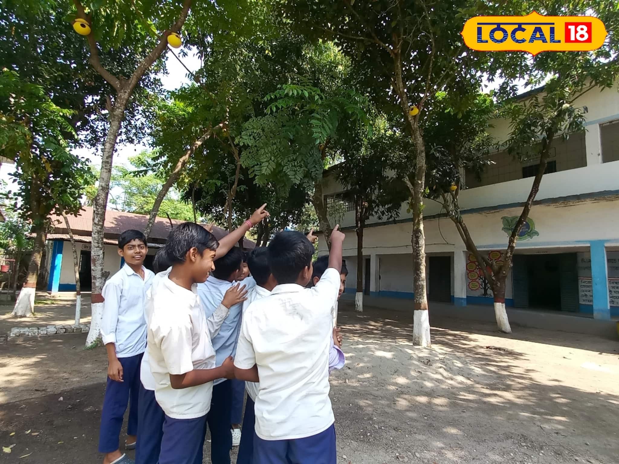 ক্লাস শুরুর আগেই স্কুলে ছুটে আসে পড়ুয়ারা! মিড ডে মিল নয়, তাদের টান কোথাও, জানলে অবাক হবেন