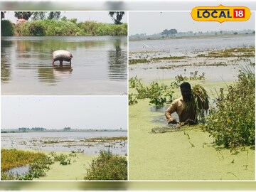 জলমগ্ন