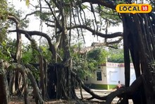 বয়স পেরিয়েছে ৫০০ বছর! হাসনাবাদে প্রাচীন পবিত্র বটগাছের টানে ভিড় জমান অগণিত মানুষ