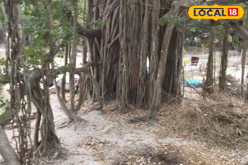 সময় বহু মানুষ এখানে একসময় পিকনিকের জন্য আসতেন আজও বহু মানুষ এই রামেশ্বরপুরের বটতলায় ঘুরতে আসেন। এই বটগাছের নিচেই রয়েছে একটি পীরের মাজার। কথিত আছে পীর গোরাচাঁদ এক সময় তার ধর্ম প্রচারে বেরিয়ে এই বটবৃক্ষের নিচে সাধনা করেছিলেন সেই সময় থেকেই এই জায়গাটির নাম গোরাতলা।