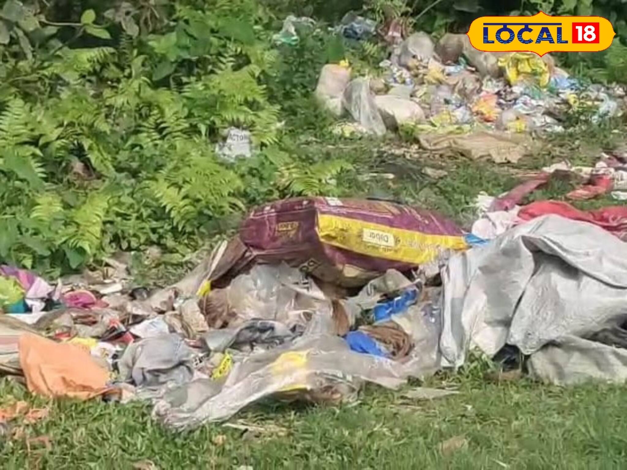 শহরের নোংরা কাঁদাচ্ছে নদী, গ্রামের বাসিন্দাদের! টেকা দায় হয়ে দাঁড়িয়েছে বন্যপ্রাণীদেরও