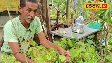 পরীক্ষামূলকভাবে