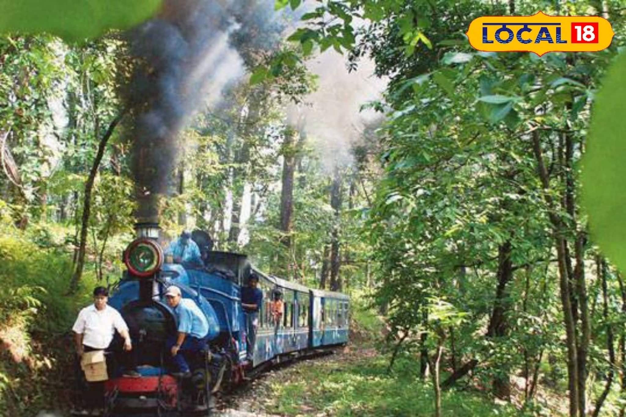 পাহাড়-জঙ্গল ঘেরা ছোট স্টেশন!টয়ট্রেন এসে দাঁড়াতেই গরম ধোঁয়া ওঠা মোমো!ছোট্ট ছুটির ঠিকানা